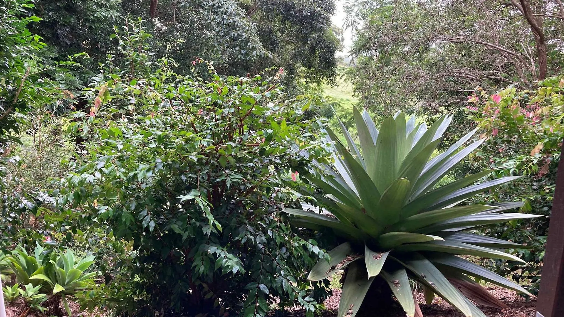 Mandy'S At Maleny Villa 0*,  Australia